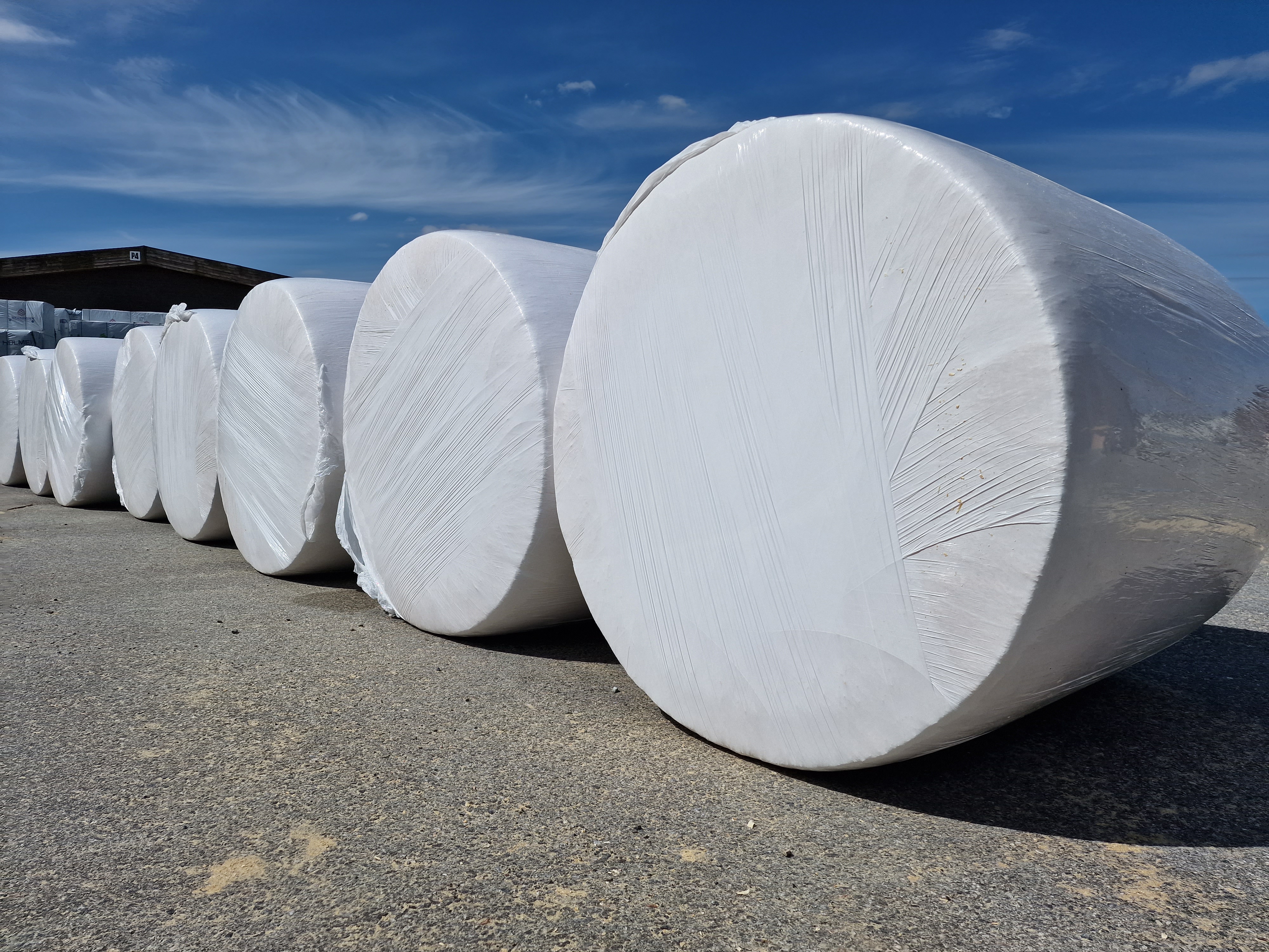 A row of white round bales lying on their round side, concrete flooring and blue skies.