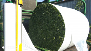 What can be baled with Orkel? Image of a bale of Alfalfa being wrapped in plastic
