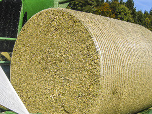 What can be baled with Orkel -  The image shows an orkel maize bale.